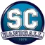 logo saint cyr handball